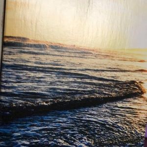 Meet your Posher, Alison